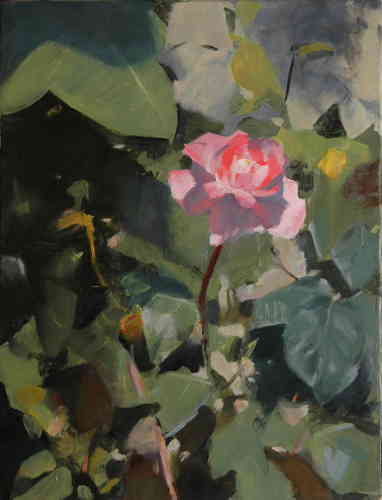 ROSE DU JARDIN HST (VENDU) - © Christophe Thiry, peintre