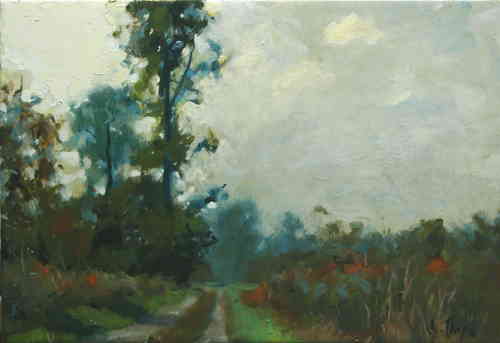 © Christophe Thiry, peintre