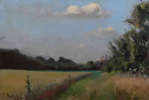 © Christophe Thiry, peintre